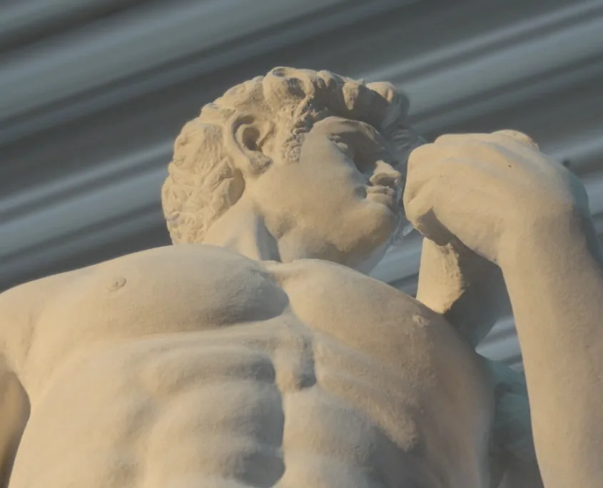 David (Michelangelo), registo fotográfico