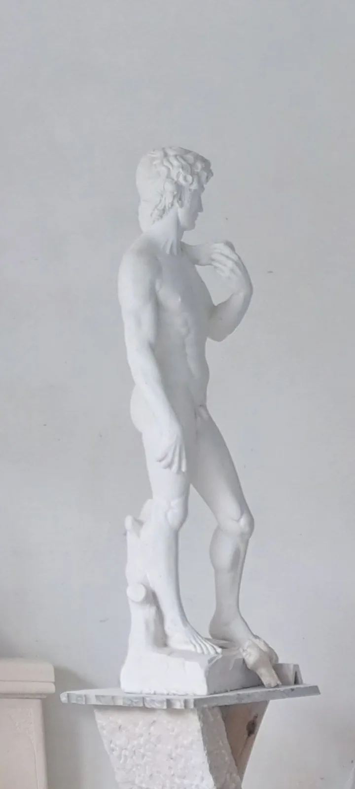 David (Michelangelo), registo fotográfico